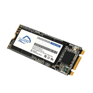 한창코퍼레이션 CLOUD SSD M.2 2280, 512GB