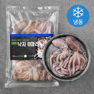 살맛나요 살아있는 상태 그대로 얼린 낙지 8미 (냉동), (8미)850g, 1팩