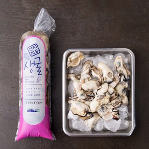 갯마을 남해안 봉지굴 (냉장), 480g, 1봉