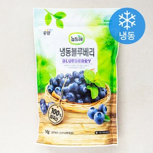 뉴뜨레 냉동 블루베리 (냉동), 1kg, 1개