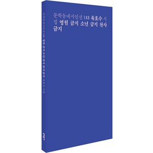 영원 금지 소년 금지 천사 금지, 문학동네, 육호수