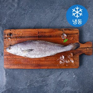 제주어부 민어 (냉동), 400g(특대), 1개