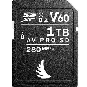 엔젤버드 AV PRO SD MK2 V60 메모리카드 CLASS10 AVP1T0SDMK2V60, 1TB, 1개