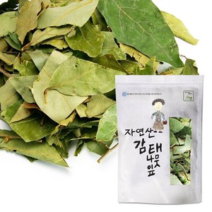 월드블링 국내산 감태나무잎, 500g, 1개