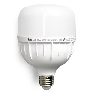 건식 LED 전구 30W E26 고와트 원통 T램프 보안등, 주광색, 1개