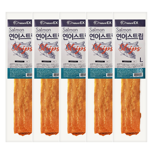 네츄럴이엑스 반려동물 연어스트립 L, 24g, 5개