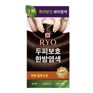 려 자양윤모 새치커버 두피보호 한방 염색제, 자연갈색 5.0, 1개