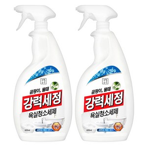 생활공식 강력세정 욕실청소세제, 2개, 600ml