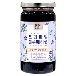 초록원 프리미엄 블루베리잼, 380g, 1개