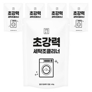 생활공식 초강력 통돌이 드럼 세탁조 클리너, 5개, 450g