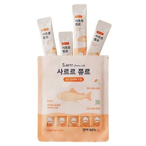 동원아르르 사르르 쮸르 짜먹는 고양이간식 심신안정, 연어, 100g, 1개