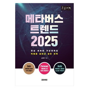 메타버스 트렌드 2025(큰글자책):현실 세계와 가상세계의 빅뱅을 넘어선 생존 전략, 심재우, 글라이더