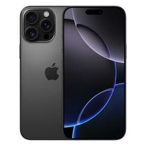 Apple 정품 아이폰 16 Pro Max 자급제, 블랙 티타늄, 1TB