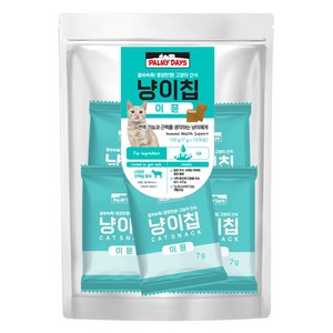 파미데이즈 고양이 냥이칩, 이뮨, 105g, 1개