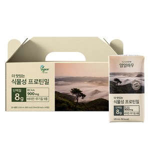 일일하우 더 맛있는 식물성 프로틴밀, 16개, 125ml