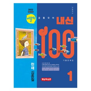 버블티 내신100 고등 공통국어 1 천재(김종철) 기출문제집 개념학습편(2025):2022 개정교육과정, 고등 1학년