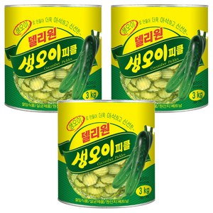 일미푸드 델리원 생 오이피클, 3kg, 3개