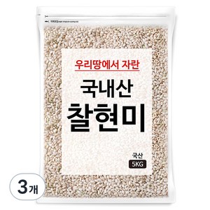 국내산 찰현미, 5kg, 3개