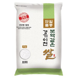 대한농산 2024년산 햅쌀 보약같은 경기 이천쌀, 5kg, 1개