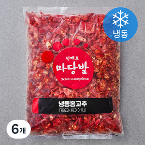 마당발 중국산 홍고추 (냉동), 1kg, 6개