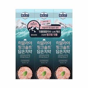 히말라야핑크솔트 담은 치약 아이스 카밍 민트, 100g, 3개