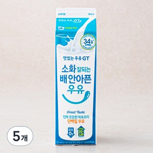 맛있는우유GT 소화 잘되는 배 안아픈 락토프리 단백질 우유, 900ml, 5입