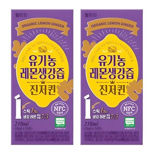 웰트릿 유기농 레몬생강즙 NFC 착즙 원액 진저퀸 14p, 210ml, 2개