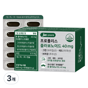 JW중외제약 프로폴리스 플라보노이드 40mg, 60정, 3개