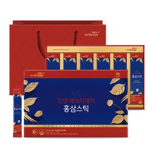 대상웰라이프 진생 에브리데이 홍삼스틱 + 쇼핑백, 300ml, 1개