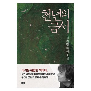 [새움]천년의 금서 (개정판), 김진명, 새움