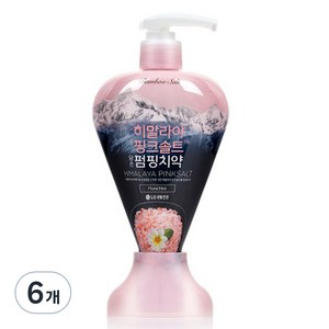 히말라야핑크솔트 담은 펌핑치약 플로럴, 285g, 6개