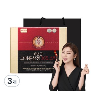 정원삼 6년근 고려홍삼정 365 스틱 30포 선물세트 + 쇼핑백, 300g, 3세트