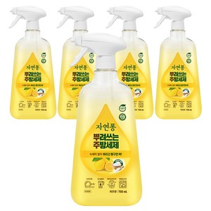 자연퐁 뿌려쓰는 주방세제 본품 레몬향, 5개, 750ml