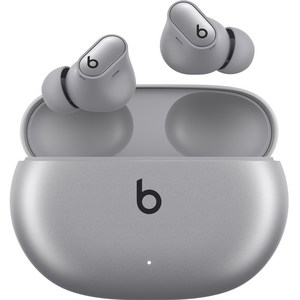 Apple 정품 Beats 스튜디오 버즈 +, 코스믹 실버