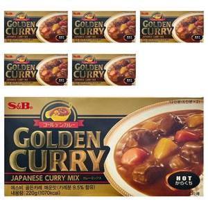 에스앤비 골든카레 매운맛, 220g, 6개