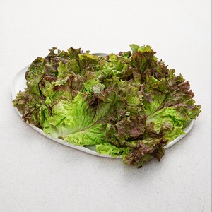 국내산 친환경 적상추, 150g, 1개