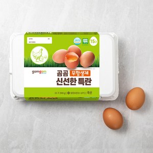 곰곰 무항생제 신선한 특란, 15구, 1개