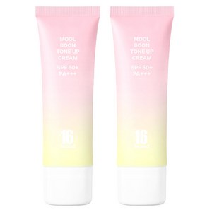 16브랜드 물분 톤업 크림 SPF50+ PA+++ 50ml, 라이트피치, 2개