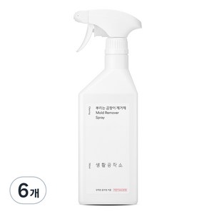 생활공작소 뿌리는 곰팡이 제거제, 750ml, 6개