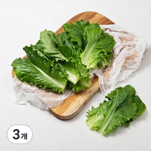 국내산 GAP 아삭한 청상추, 150g, 3개