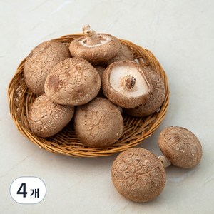 표고버섯, 200g, 4개