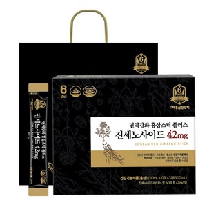 고려홍삼중앙회 면역강화 홍삼스틱 플러스 진세노사이드 42mg + 쇼핑백, 300ml, 1세트