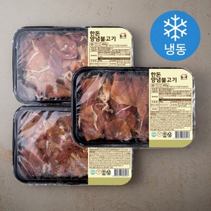 홈스쿡 한돈 양념불고기 (냉동), 400g, 3팩