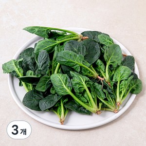 국내산 베이비 시금치, 100g, 3개