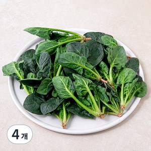 국내산 베이비 시금치, 100g, 4개