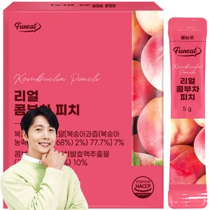 퍼니트 리얼 콤부차 피치맛, 150g, 1개