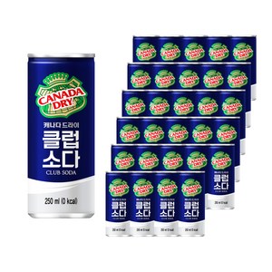 캐나다드라이 클럽소다, 250ml, 30개