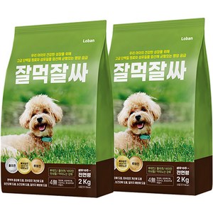 강아지 잘먹잘싸 전연령 애견 건식사료, 연어, 2kg, 2개