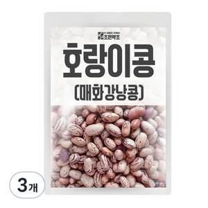 조은약초 호랑이콩, 1kg, 3개