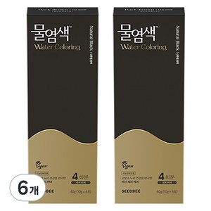 씨드비 물염색 비건 새치커버 염색약 40g 4회분, 내추럴블랙, 6개